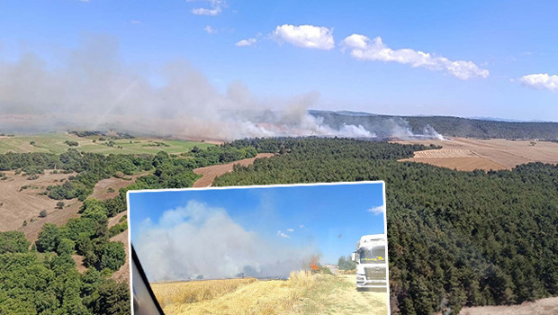 Çanakkale'de orman yangını: Alevlere havadan ve karadan müdahale başladı