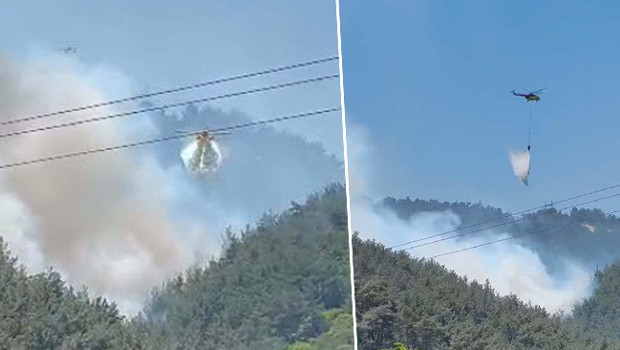 Manisa'da orman yangını: Havadan ve karadan müdahale ediliyor