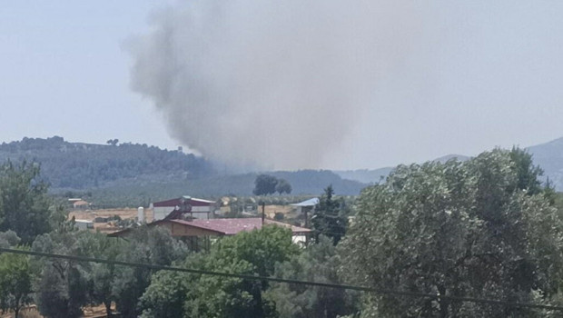 Muğla'da orman yangını: Rüzgarın etkisiyle yayıldı! Havadan ve karadan müdahale
