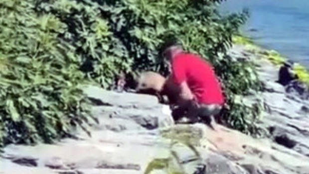 Sahilde köpeğe şiddet kamerada… Şüpheli gözaltına alındı