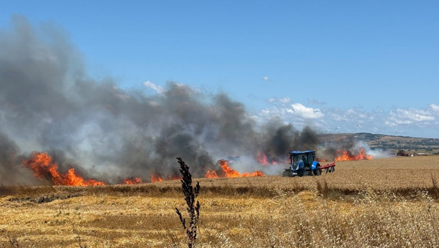 Silivri'de korkutan tarla yangını
