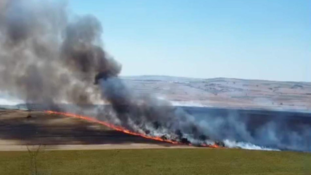 Tekirdağ'da yangında 300 dekar tarım alanı zarar gördü