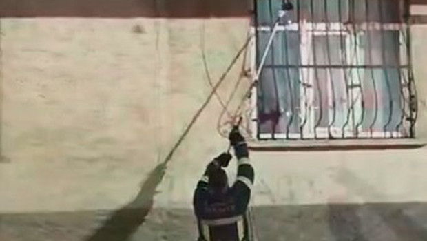 Bir evin pencere korkuluğuna çıkan yılan, yakalanarak doğaya bırakıldı