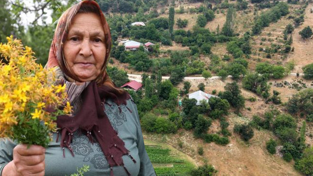 Köylüler toplayıp 40 gün güneşte bekletiyorlar: 'Doğadaki şifayı ilaç yapıyoruz'