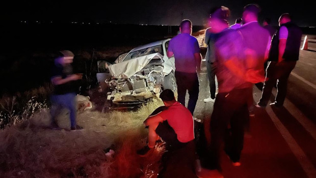 Siverek'te otomobil koyun sürüsüne daldı: 3 kişi yaralandı, 11 koyun telef oldu