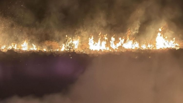 Bodrum'da korkutan yangın... Alevlerle mücadele sürüyor haber görseli