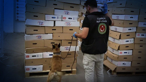Kapıkule Gümrük Kapısı'nda operasyon: 1 ton 153 kilogram uyuşturucu ele geçirildi