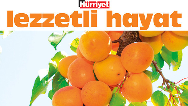 Tavuğa da kebaba da yakışır