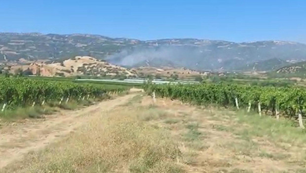 Manisa'da maki yangınında alevler ormana sıçradı