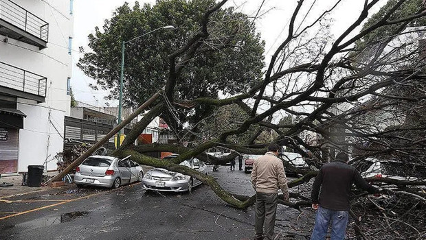Almanya’da şiddetli fırtına: 1 ölü, 3 yaralı