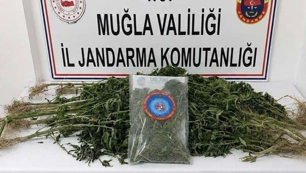 Muğla'da uyuşturucu operasyonları: 5 zanlı tutuklandı haber görseli