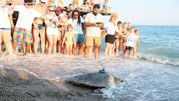 Engelli caretta takipte haber görseli