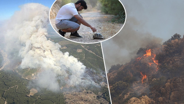 Antalya ve Muğla'da orman yangını: Havadan ve karadan müdahale ediliyor