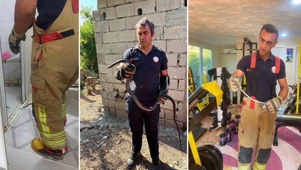 Hatay’da yerleşim yerlerinde görülen yılanlar itfaiye ekipleri tarafından yakalandı haber görseli