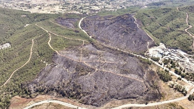 Balıkesir’de 2 kişi tutuklandı… Ormanı kaynakla yakmışlar