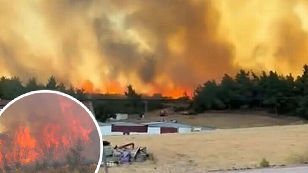 Çanakkale'de orman yangını
