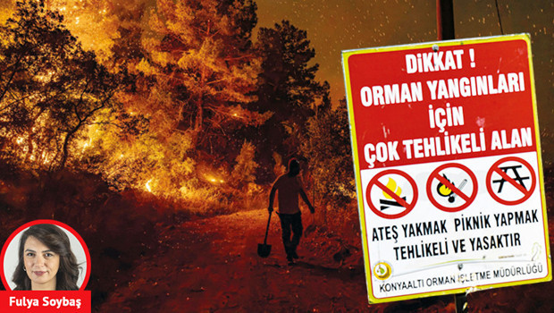 Orman yangınlarını nasıl önleyeceğiz