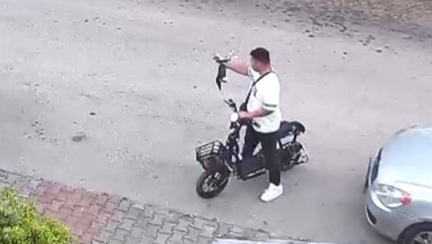 Yavru kediyi öpüp boğmuştu, gözaltına alındı
