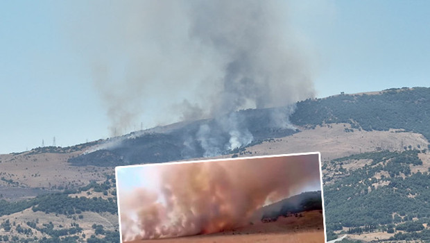 Tunceli'de otluk alanda çıkan yangın ormana sıçradı: Ekipler müdahale ediyor haber görseli