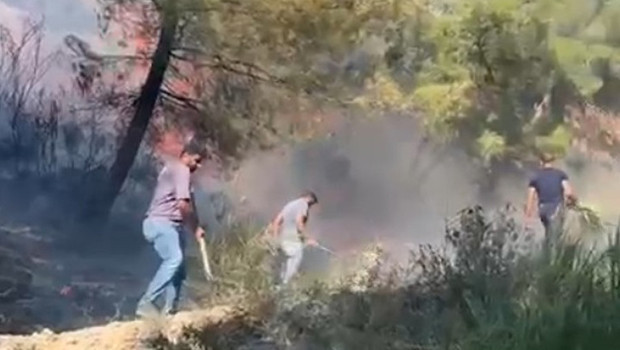 Hatay'da orman yangını! Havadan ve karadan müdahale ediliyor