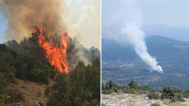 Muğla'da orman yangını! Alevlere havadan ve karadan müdahale sürüyor