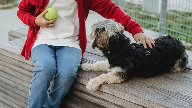 Evde köpek beslemek bebekleri bazı hastalıklardan koruyabilir haber görseli