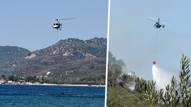Çanakkale'de zeytinlik alanda yangın! Havadan ve karadan müdahale ediliyor haber görseli
