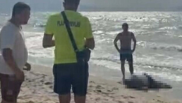 Kuşadası'nda acı son: Yattan denize düşen iş insanı sahilde ölü bulundu