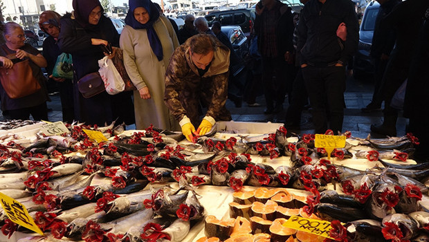 Karadeniz'de palamut bolluğu: Tanesi 125 liradan satılıyor, balıkçılar uyarıyor