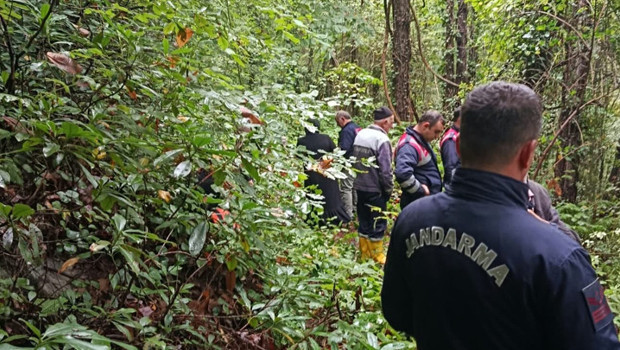 Sapanca'da kestane toplamak için gittiği ormanda cansız bedeni bulundu