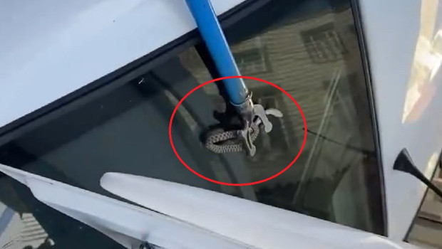 Diyarbakır'da otomobilin bagajına giren yılanı esnaf çıkardı