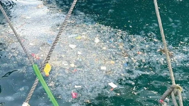 Oksijen seviyesi azaldı… Akdeniz’de tehlike çanları