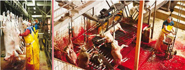 Çözüm: Acısız kesim