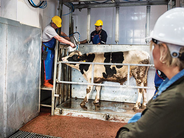 Çözüm: Acısız kesim