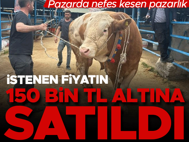 İstenen fiyatın 150 bin TL altına satıldı! Pazarda nefes kesen pazarlık