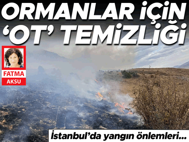 Ormanlar için ‘ot’ temizliği