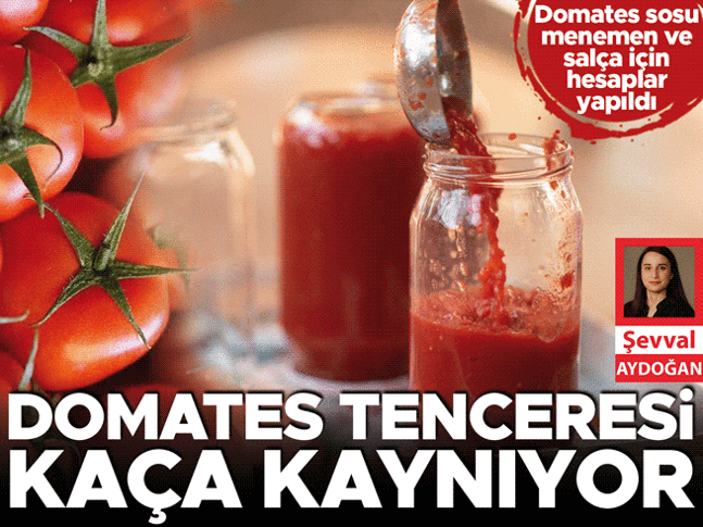 Domates tenceresi kaça kaynıyor