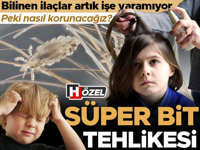 ‘Süper bit’ tehlikesi Geleneksel ilaçlar artık işe yaramıyor, doğal yöntemler de etkisiz... Peki nasıl korunacağız