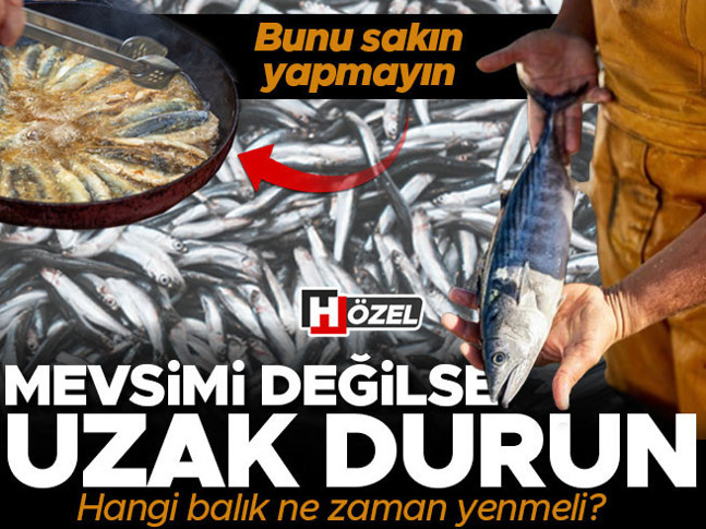 Tezgahtan sofraya tam bir sağlık kalkanı: Hangi balık hangi ayda yenmeli, nasıl pişirilmeli