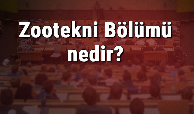 Zootekni Bölümü nedir ve mezunu ne iş yapar? Bölümü olan üniversiteler, dersleri ve iş imkanları Zootekni Bölümü nedir ve mezunu ne iş yapar? Bölümü olan üniversiteler, dersleri ve iş imkanları