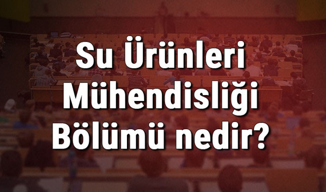 Su Ürünleri Mühendisliği Bölümü nedir ve mezunu ne iş yapar? Bölümü olan üniversiteler, dersleri ve iş imkanları