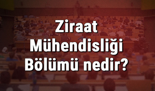 Ziraat Mühendisliği Bölümü nedir ve mezunu ne iş yapar? Bölümü olan üniversiteler, dersleri ve iş imkanları