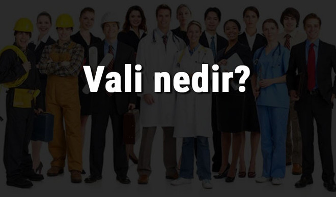 Vali nedir, ne iş yapar ve nasıl olunur? Vali olma şartları, maaşları ve iş imkanları   
