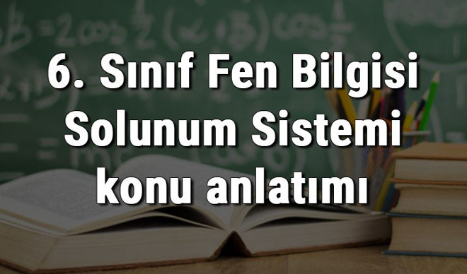 6. Sınıf Fen Bilgisi Solunum Sistemi konu anlatımı 6. Sınıf Fen Bilgisi Solunum Sistemi konu anlatımı
