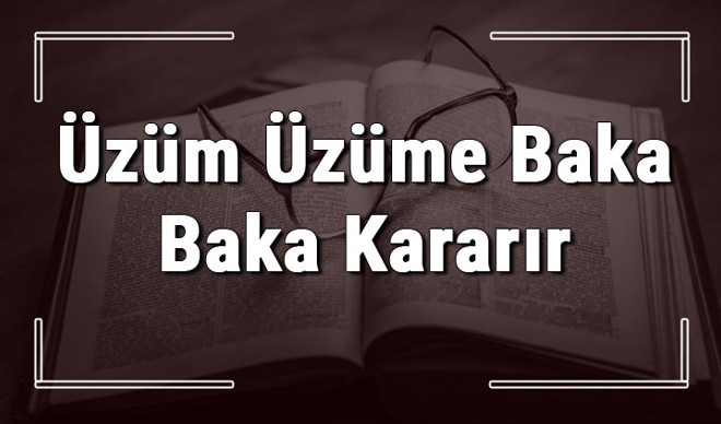 Üzüm Üzüme Baka Baka Kararır atasözünün anlamı ve örnek cümle içinde kullanımı (TDK)