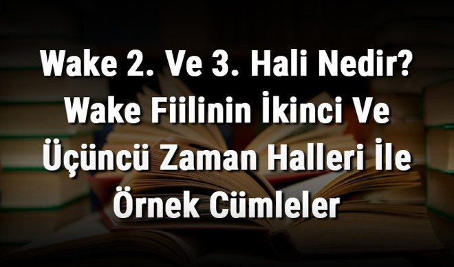 Wake 2. Ve 3. Hali Nedir? Wake Fiilinin İkinci Ve Üçüncü Zaman Halleri İle Örnek Cümleler