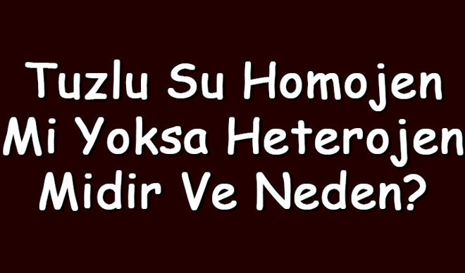 Tuzlu su homojen mi yoksa heterojen midir ve neden? Tuzlu su homojen mi yoksa heterojen midir ve neden?