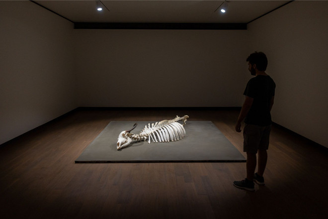 Sirenler çalıyor: Bu bir ekolojik felaket