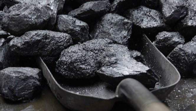 Taşkömürü sigorta için ihaleye çıkıyor