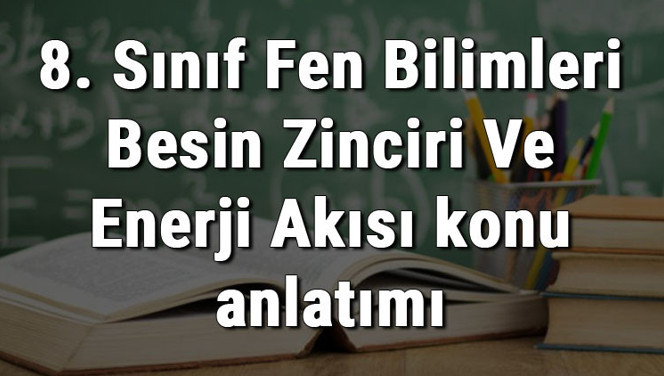 8. Sınıf Fen Bilimleri Besin Zinciri Ve Enerji Akışı konu anlatımı 8. Sınıf Fen Bilimleri Besin Zinciri Ve Enerji Akışı konu anlatımı